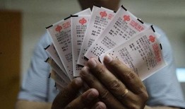 逻辑吃瓜,揭秘网络舆论背后的真相与套路