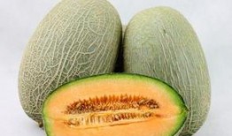 哈密瓜和螺蛳同时吃,一场味蕾的盛宴