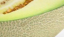 吃蜜瓜,探寻蜜瓜的独特魅力