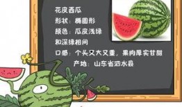 读心声吃瓜全集,揭秘娱乐圈背后的秘密与真相