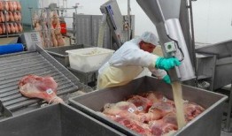 瓜家人吃西班牙火腿,舌尖上的异国风情