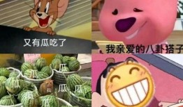 pdf吃瓜群众包子,网络热词背后的文化现象