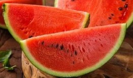 尿酸高可以吃茄瓜吗,茄瓜可适量食用，了解其利与弊