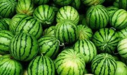 龙岩吃瓜群,揭秘网络社交圈的趣味与争议