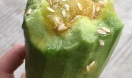 羊角蜜瓜狗可以吃吗,羊角蜜瓜狗食用安全性探讨