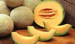 瓜州去哪吃,探寻当地特色风味指南