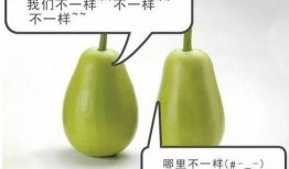 安医专吃瓜,一场校园“吃瓜”盛宴背后的真相