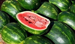 读心声吃瓜全集,揭秘娱乐圈背后的秘密与真相