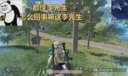 吃瓜少女吃鸡视频下载