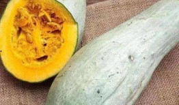 霸王别急眼吃瓜,急眼吃瓜背后的历史风云