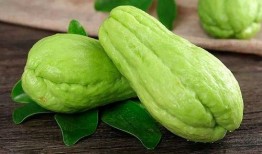 孕妇可以吃芦瓜,芦瓜助力母婴健康