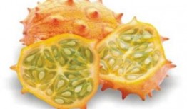 水果刺角瓜怎么吃,探索美味与营养的完美结合