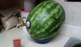 汝南二龙里吃瓜,瓜果飘香，品味夏日清凉时光