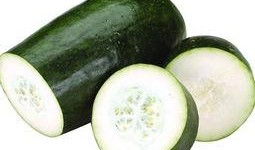 吃瓜公司头像高清