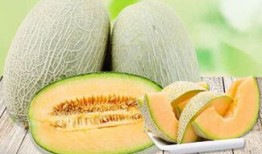 吃哈密瓜喉咙