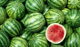 吃瓜高清壁纸,高清壁纸中的夏日清凉