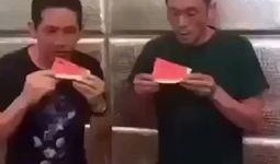 国超搞笑视频吃瓜,吃瓜群众笑翻天，瓜田里的欢乐时光