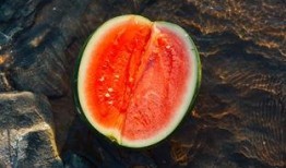 莱卡吃瓜,揭秘娱乐圈幕后故事