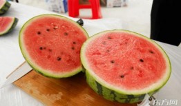 上海思博吃瓜,吃瓜群众的狂欢盛宴