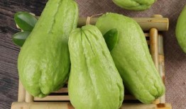 胃胀气吃佛手瓜