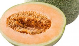 医生哈密瓜可以吃,哈密瓜，夏季清凉解暑的佳品