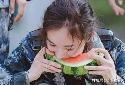 明星现场吃瓜,一场意外的美食与八卦盛宴