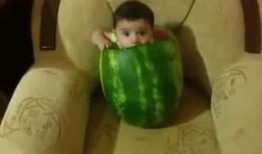 吃瓜搞笑开心图片,吃瓜群众欢乐集结！