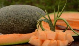 怎么吃哈密瓜不涩,轻松享受甜蜜滋味