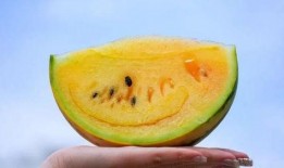 吃瓜从哪里开始吃,揭秘吃瓜的正确打开方式