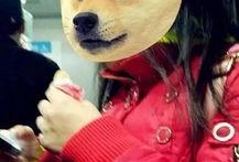 站着吃瓜蹲着看,揭秘不同姿势下的娱乐体验差异