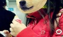 站着吃瓜蹲着看,揭秘不同姿势下的娱乐体验差异