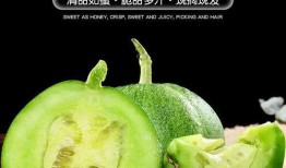 吃瓜平安锁,网络流行语的魅力与内涵