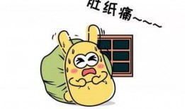 带你吃瓜亲戚,带你领略“吃瓜亲戚”的独特魅力