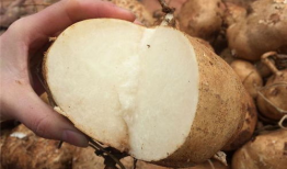 吃土瓜的时间,一场穿越时空的味蕾之旅