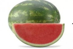 吃瓜平安锁,网络流行语的魅力与内涵