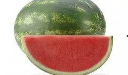 吃瓜平安锁,网络流行语的魅力与内涵