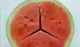 吃瓜就得吃奔驰牌的西瓜,尽享奔驰牌西瓜的甘甜诱惑