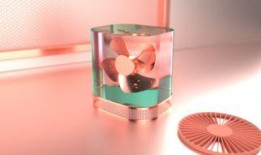 吃瓜小夹头,网络红人的崛起与影响力